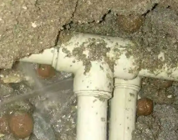 高州测漏水多少钱