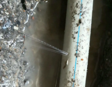 高州测漏水哪家好