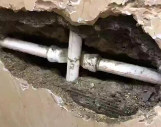 高州测漏水哪家好