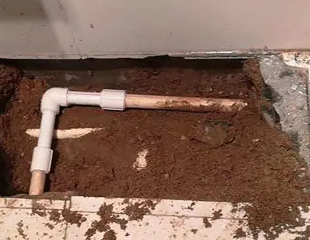 高州测漏水哪家好