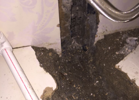 高州卫生间测漏水哪家好