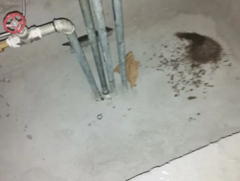 高州卫生间测漏水价格明细