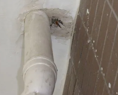 高州漏水检测哪家好